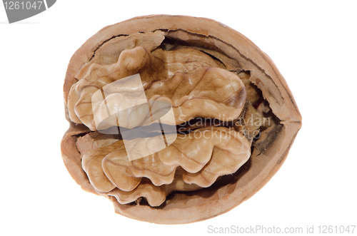 Image of Crack walnut