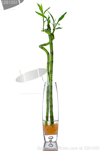 Image of Glass jar with bamboo 