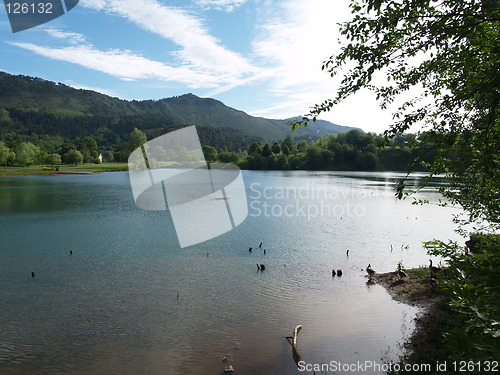 Image of Cabarceno lake