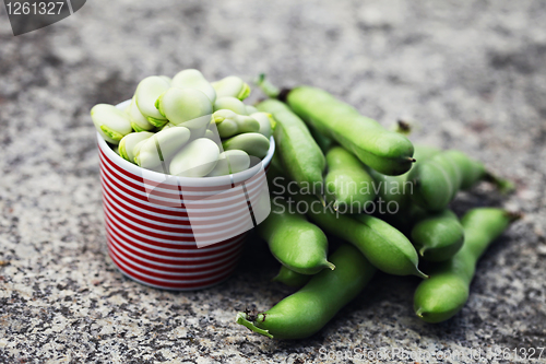 Image of fresh broad beans