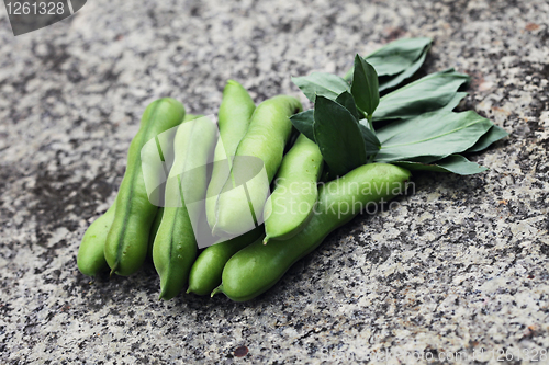 Image of fresh broad beans