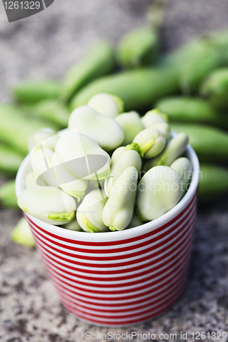 Image of fresh broad beans