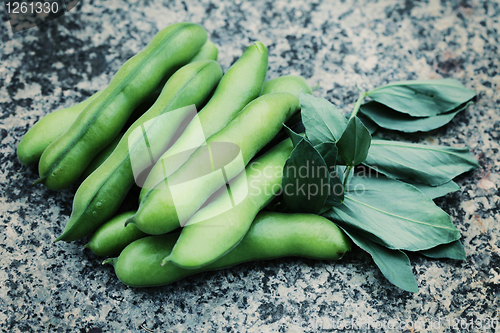 Image of fresh broad beans