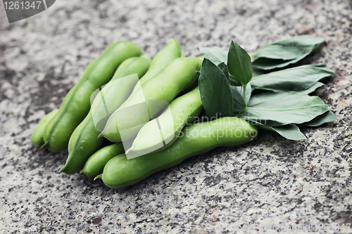 Image of fresh broad beans