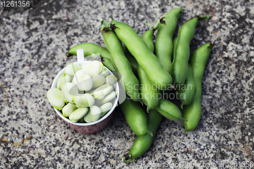 Image of fresh broad beans