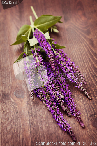 Image of sage flowers