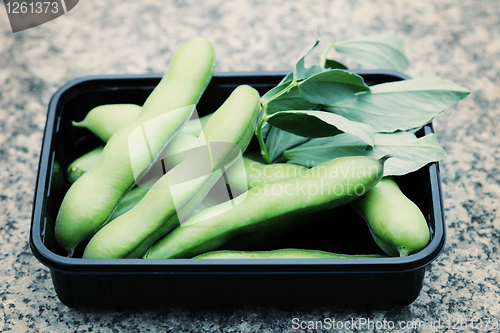 Image of fresh broad beans