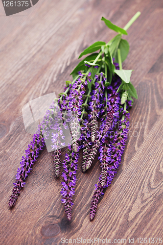 Image of sage flowers