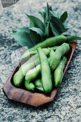 Image of fresh broad beans