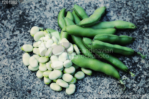 Image of fresh broad beans