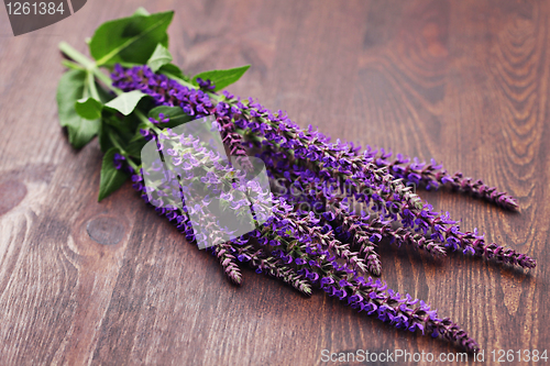 Image of sage flowers