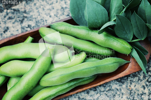 Image of fresh broad beans