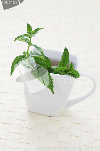 Image of mint tea