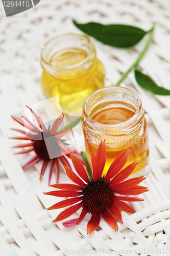 Image of herbal honey