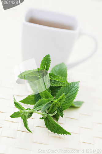 Image of mint tea