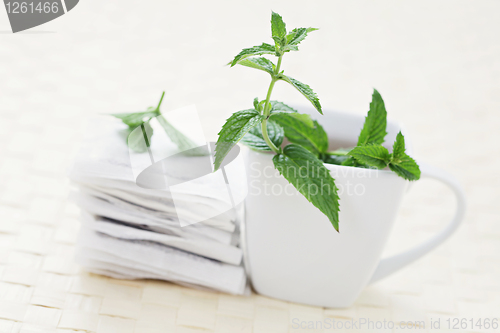 Image of mint tea