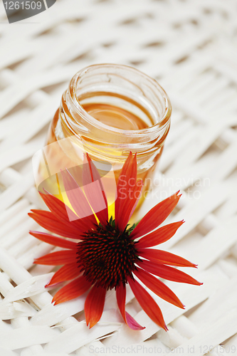 Image of herbal honey
