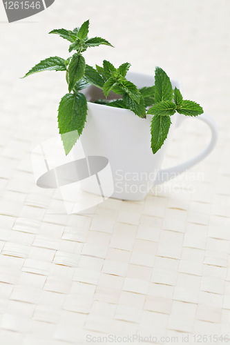 Image of mint tea