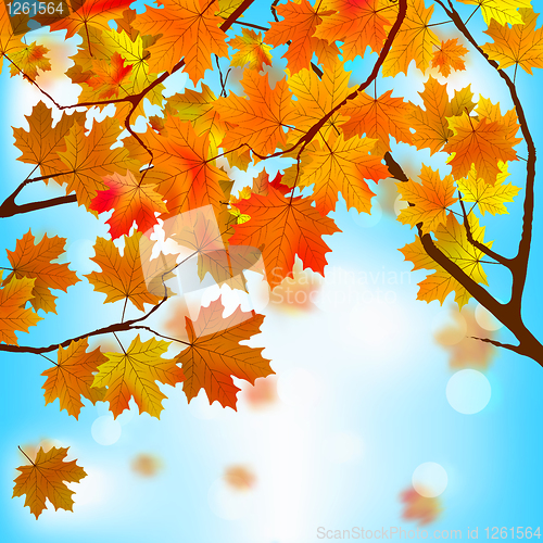 Image of Red and yellow leaves against blue sky. EPS 8