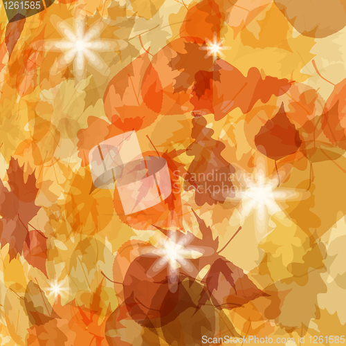 Image of Sun pushing through a varicoloured leaves. EPS 8