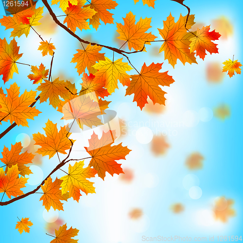 Image of Red and yellow leaves against blue sky. EPS 8