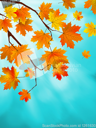 Image of Red and yellow leaves against blue sky. EPS 8