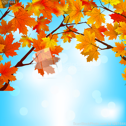 Image of Red and yellow leaves against bright sky. EPS 8
