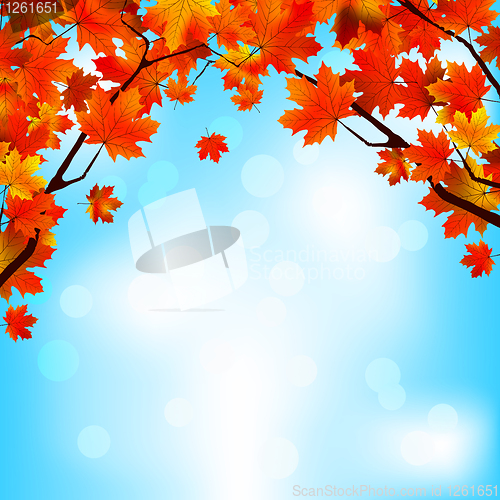 Image of Red and yellow leaves against bright sky. EPS 8