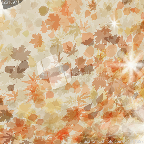 Image of Autumn leaves. Seasonal template design. EPS 8