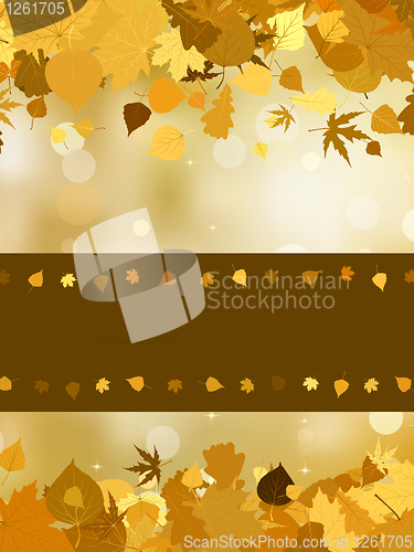 Image of Autumn with colored leaves on bokeh effect. EPS 8