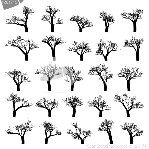 Image of Spooky tree silhouette vector isolated. EPS 8