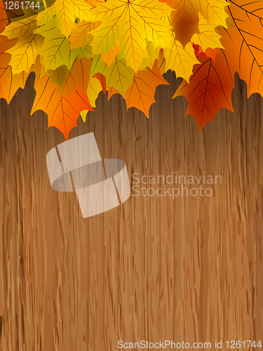 Image of Fall leaves making border on wooden. EPS 8