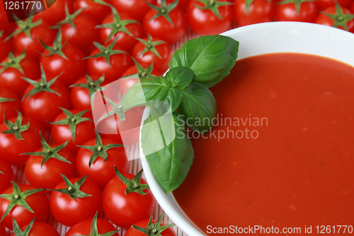 Image of Fresh tomato soup