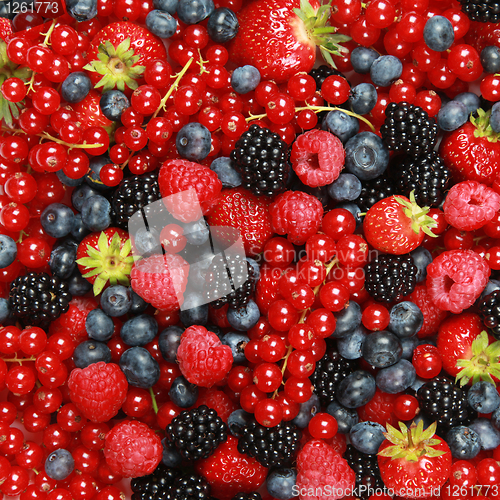 Image of Berry Mix