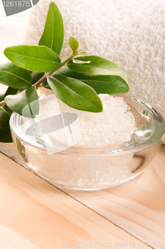 Image of Sea Salt With Fresh Olive Branch. Spa And Wellness 
