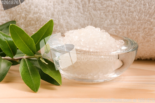 Image of Sea Salt With Fresh Olive Branch. Spa And Wellness 