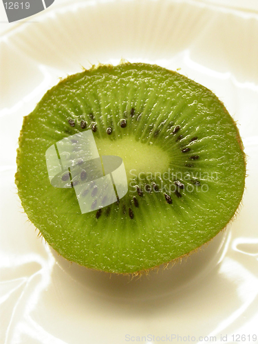 Image of Kiwi