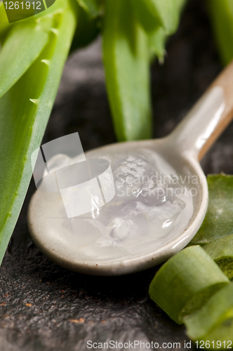 Image of aloe vera juice with fresh leaves