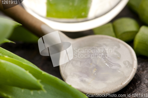 Image of aloe vera juice with fresh leaves