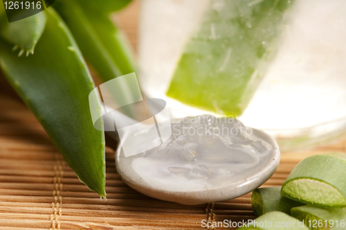 Image of aloe vera juice with fresh leaves