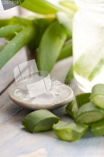 Image of aloe vera juice with fresh leaves