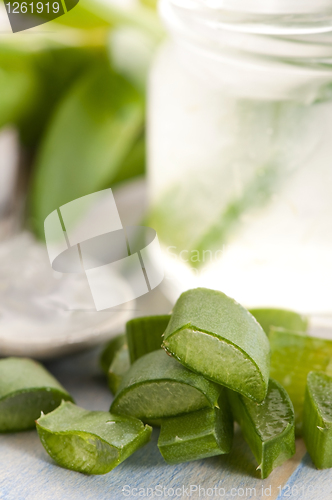 Image of aloe vera juice with fresh leaves