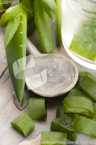 Image of aloe vera juice with fresh leaves