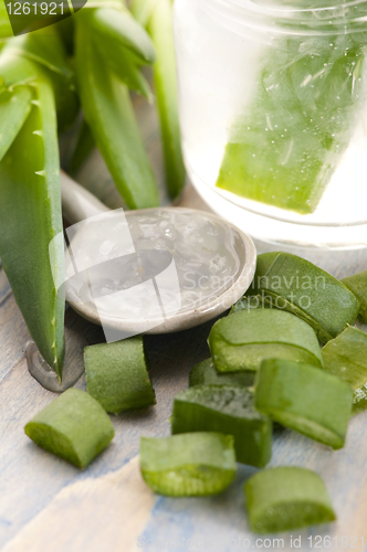 Image of aloe vera juice with fresh leaves