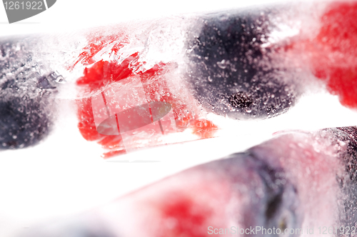 Image of Raspberry and blackberry frozen in ice sticks