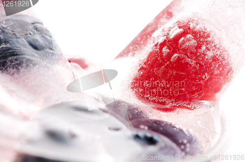 Image of Raspberry and blackberry frozen in ice sticks