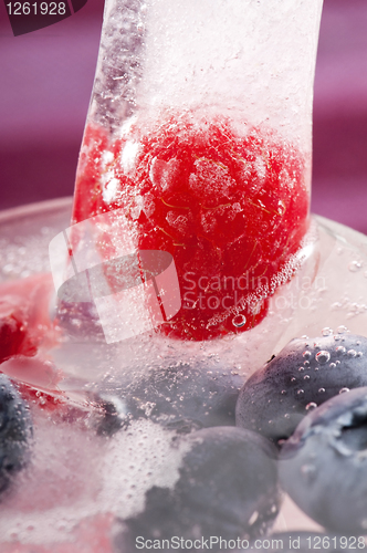 Image of Raspberry and blackberry frozen in ice sticks