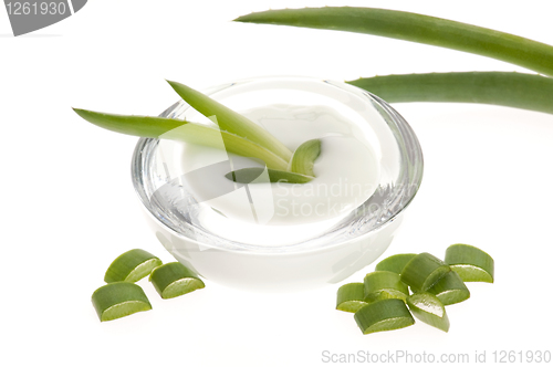 Image of aloe vera - leaves and cream isolated on white background 