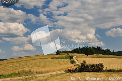 Image of Harvest in mountain