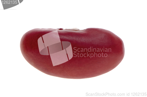 Image of Single red bean